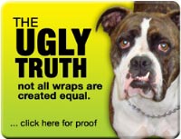 UglyTruth